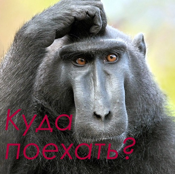 Такси на Новый год